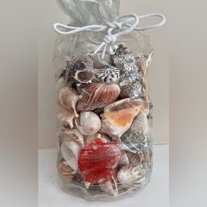 3.8 LBS Beautiful Assortment Seashells Sea Shells ready to be displayed